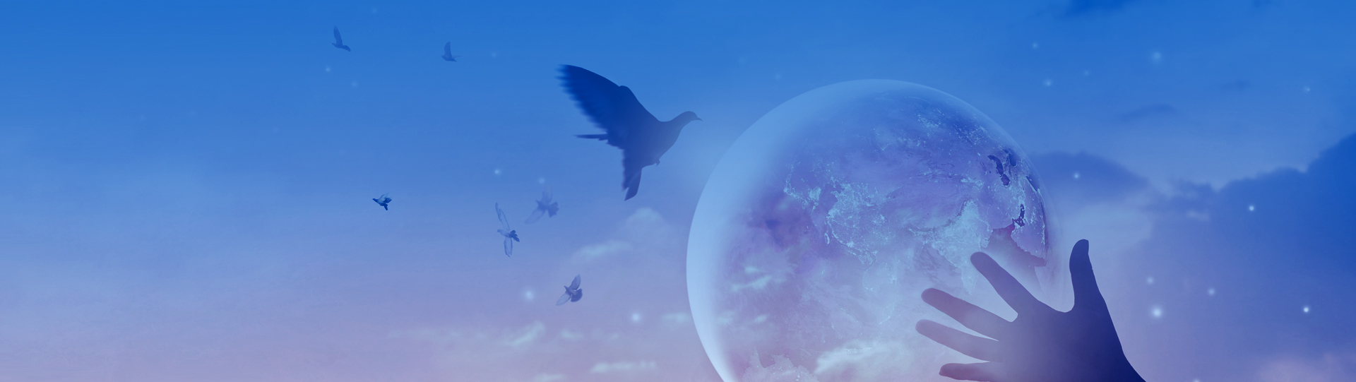 中国·98858vip威尼斯游戏(股份)有限公司-官方网站