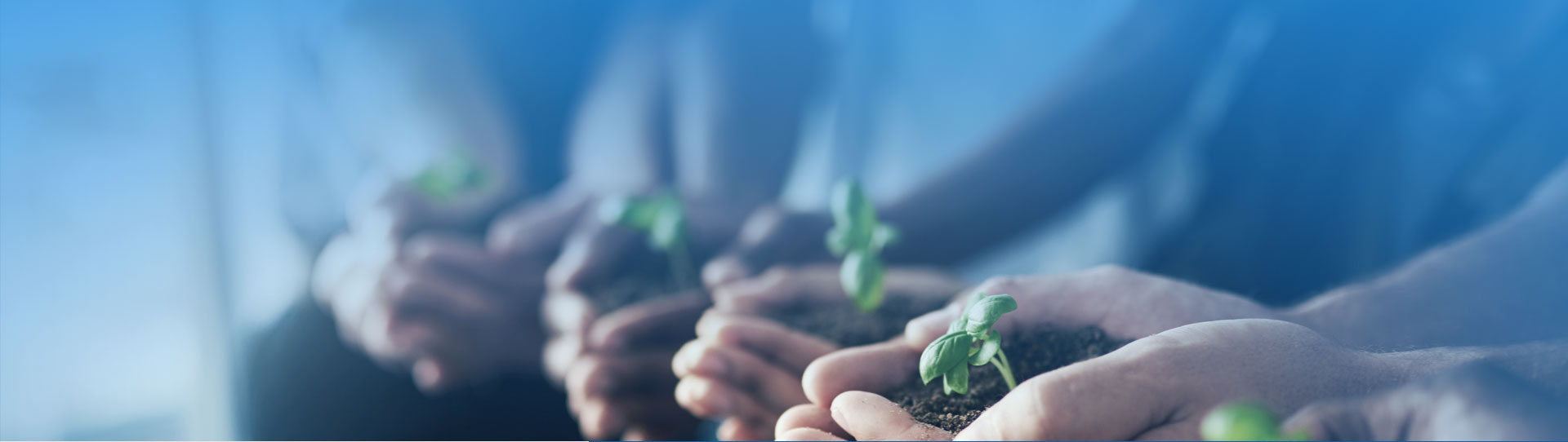 中国·98858vip威尼斯游戏(股份)有限公司-官方网站